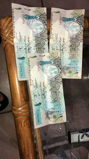 FOREIGN COINS AND NOTES ON SPECIAL(BARGAIN)