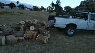 Billy&#39;s Gardens and construction services .. Tree felling, Painting, Paving, Rubble removals