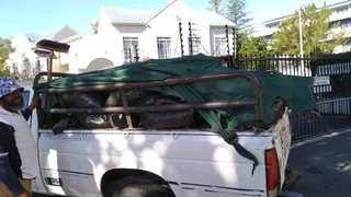 Billy&#39;s Gardens and construction services .. Tree felling, Painting, Paving, Rubble removals