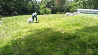 Billy&#39;s Gardens and construction services .. Tree felling, Painting, Paving, Rubble removals