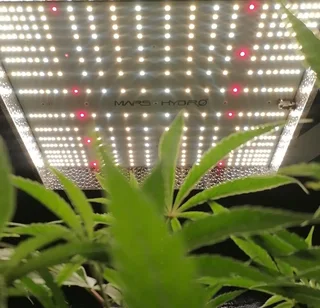 MarsHydro LED TS1000