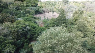 A Gem of a Find - Simola Golf and Country Estate