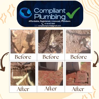  Blocked Drain? We’ll Get to the Root of It! 