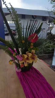  Mack Loo Toilet Hire &amp; Sales – Perfect for Corporate Events