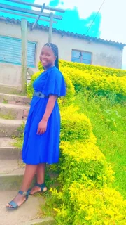 LOOKING FOR A JOB HOUSE CLEANING