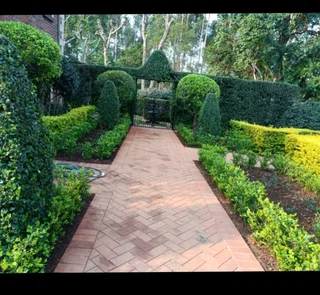 Malawian Looking For A Job As A Gardening