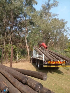 Truck and Transport Hire Durban Tel: 0721951242