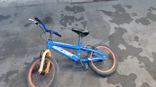 Raleigh mountain bike