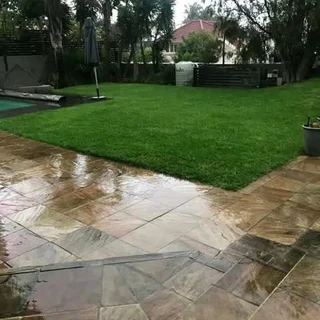 Freshly cut instant roll on lawn