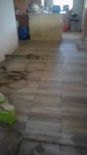 Jerome Bacon Projects