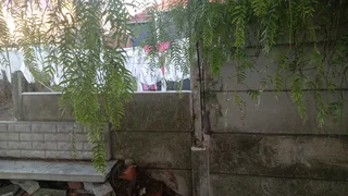 Demolish  and plot clearing