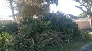 Bush cut and plot clearing