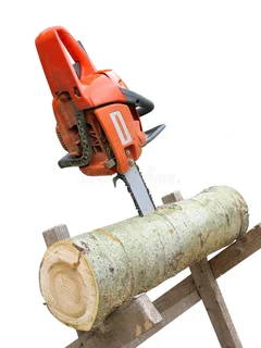 William Isaac Garden  and Tree cutting service