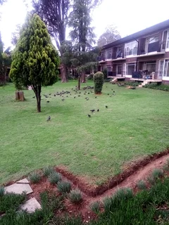 Flats for Rent 2 &amp; 3 BED