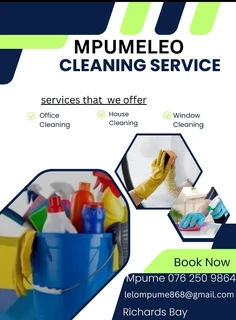 Cleaning service