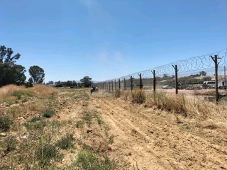 Ford 6600 Tractor - 1975