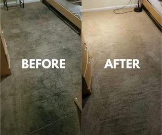 Office Carpet cleaning