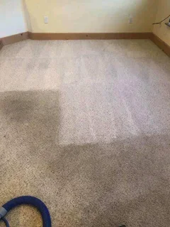 Office Carpet cleaning