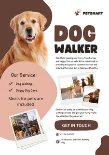 Dog Walking &amp; Pet Sitting