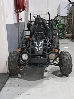 Trailmaster 300XRS-E EFI Ultra Buggy Go Kart