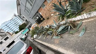 Removals from R250 a load including labour