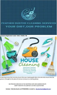 Cleaning - Ad posted by Zita Borchards