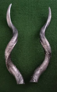 Decorative kudu horns