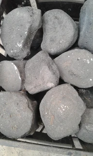 FOSSILIZED WHALE BONES