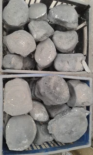 Fossilized Whale Bones