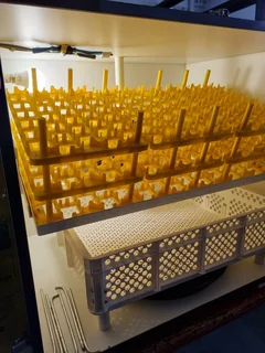 370 Egg Incubator &amp; Hatcher Fully Automatic SureHatch370