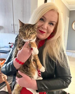 House/Per Sitting Service