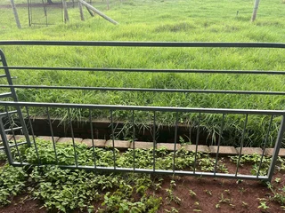 Sheep and Goat handling equipment