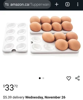 Egg tray inserts tupperware