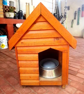 Dog House