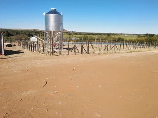 Automated Sheep Feeder Systems For Sale (009205)