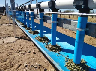 Automated Sheep Feeder Systems For Sale (009205)