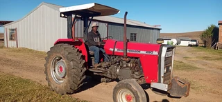 Massey Ferguson 290 For Sale (010485)