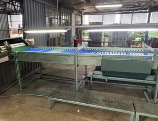 Avocado Paklyn / Packing Line For Sale (012604)
