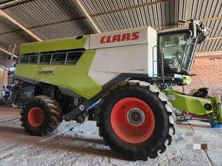 Claas Lexion 7600 Stroper / Combine Harvester For Sale (012630)
