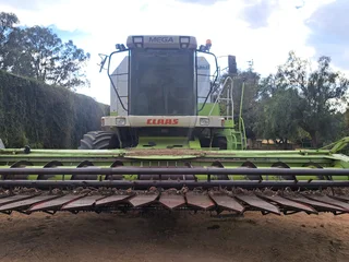 Claas Mega 350 Stroper / Combine Harvester For Sale (013323)