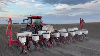 8 Row Massey Ferguson 9100 Planter For Sale (013333)