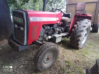 Massey Ferguson 290 For Sale (013531)