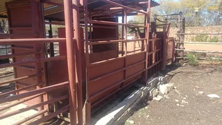 2 Ton Heavy Duty Cattle Weighing Crate / Bees Weegkrat For Sale (013586)