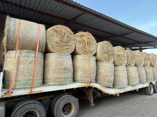 Teff Bales For Sale (013770)