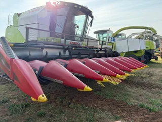 10 Row 76cm Geringhoff Header for Sale (014109)