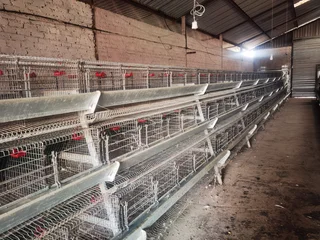Chicken Layer Cages / Hoender Hokke for Sale (014112)