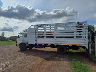 Hino ADE 352 Turbo Cattle Truck / Bees Vragmotor for Sale (014131)