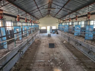 16 x Tandem Hokke / Cages For Sale (014211)