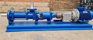 Cyclone C61M Pump For Sale (014222)