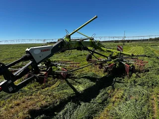 Claas 1700 Liner Krag Hark / Power Rake for Sale (014274)